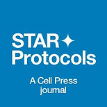 STAR_protocols.jpg